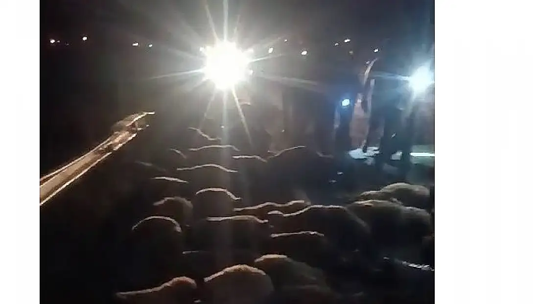 Ağrı-Diyadin yolunda kaza: 70 koyun telef oldu