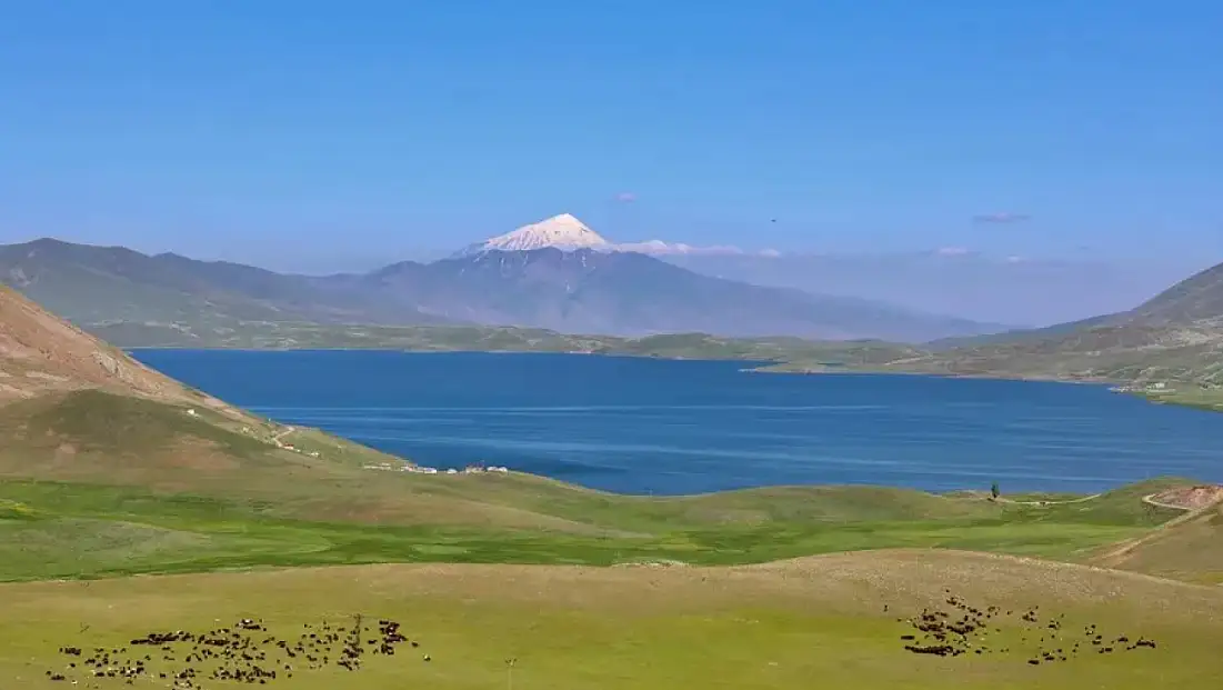 Ağrı Balık Gölü Şenliği'nde Kavga: 2 Yaralı, 1 Kişinin Durumu Ağır