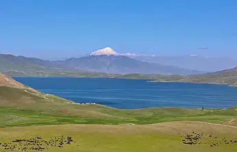 Ağrı Balık Gölü Şenliği'nde Kavga: 2 Yaralı, 1 Kişinin Durumu Ağır