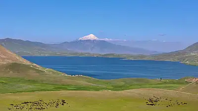 Ağrı Balık Gölü Şenliği'nde Kavga: 2 Yaralı, 1 Kişinin Durumu Ağır