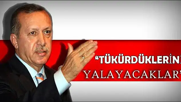 TÜKÜRDÜKLERİNİ YALAYACAKLAR