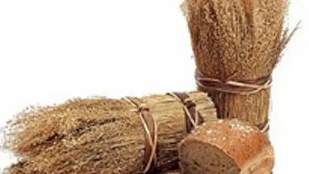 Yunanistanda Ölüm Oranı Doğum Oranını Geçti