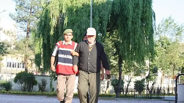 Köpekleri Korkutmak İsterken Komşusunu Yaraladı