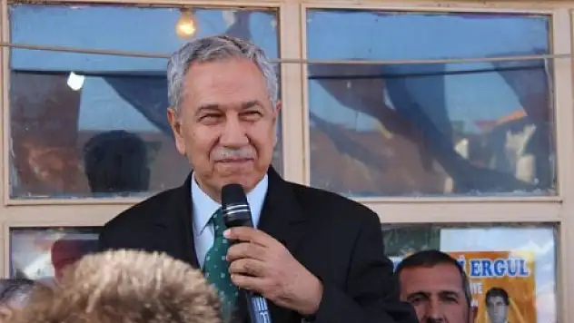 Başbakan Yardımcısı Bülent Arınç, Hamurda