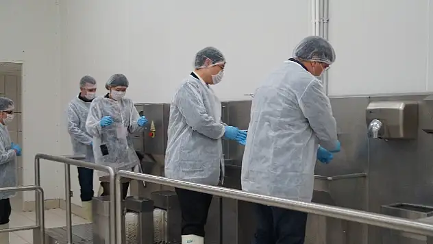 Kuş Gribi Vakasından Sonra Japonya'ya Tavuk İhracatı Yeniden Başlıyor