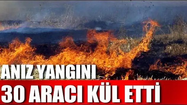 Anız yangını 30 aracı kül etti