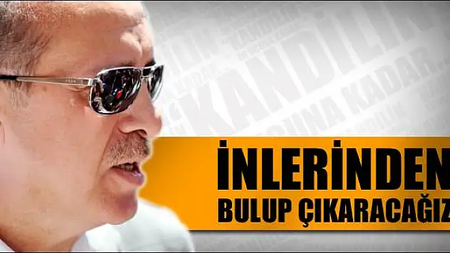 İnlerinden bulup çıkaracağız