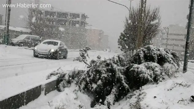Doğu İlkbahar'da Kar Hapsinde
