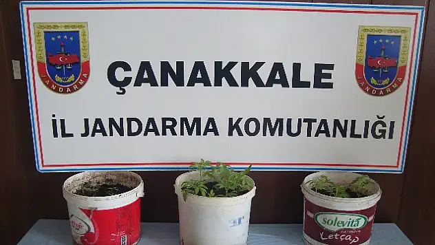 Lapseki'de Cinayet
