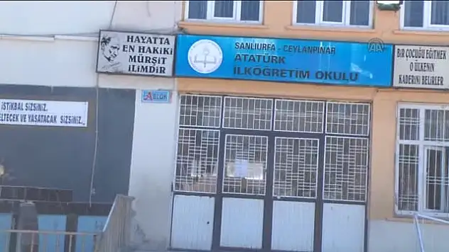 Ceylanpınar'da yanmış oy pusulaları bulunduğu iddia edildi