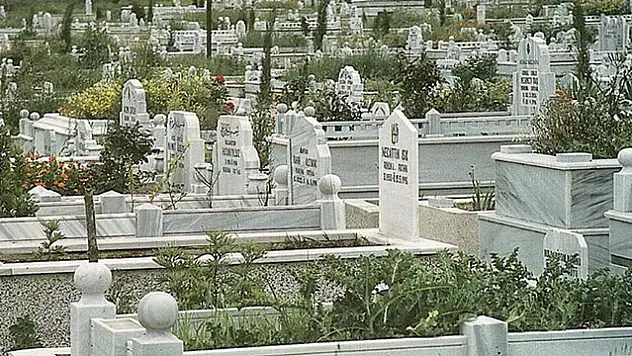 Siirt'te Ölümlerin Nedeni Dolaşım Sistemi
