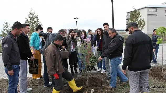 'ÜNİVERSİTEMDE BENİM DE DİKİLİ BİR AĞACIM VAR'