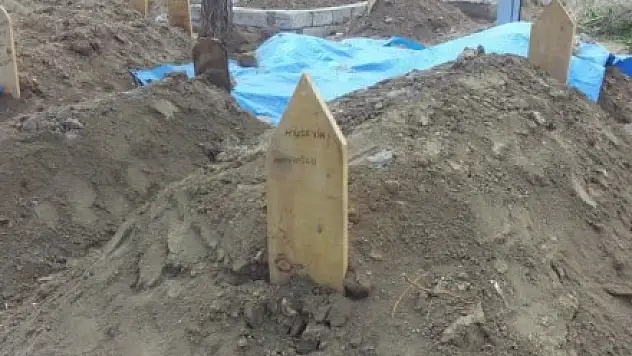 Doğubayazıt'ta Kuduz Can Aldı