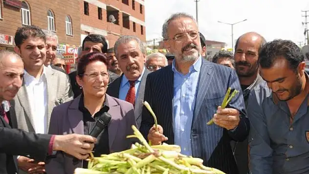 BDP SEÇİM ÇALIŞMALARINA TEKRAR BAŞLADI