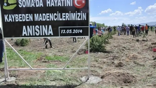 Ak Parti Genel Başkan Yardımcısı Şentop Ağrıda