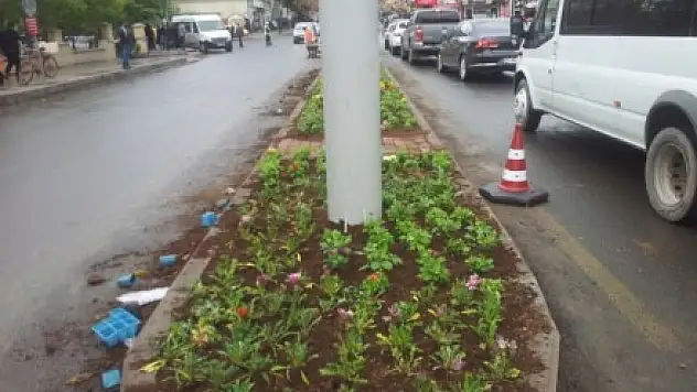 Ağrı'nın Cadde ve Sokakları Çiçeklerle Güzelleşiyor