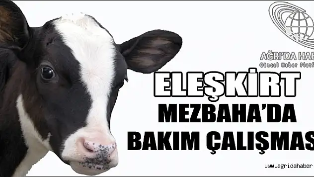 Eleşkirtte Mezbahada Bakım Çalışması