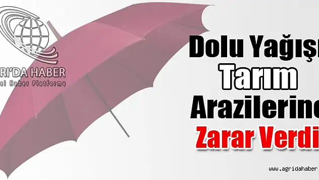 Ağrı'da Dolu Yağışı Tarım Arazilerine Zarar Verdi