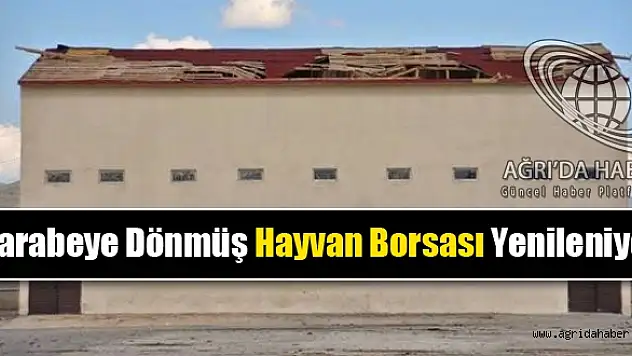 Harabeye dönüştürülen Hayvan Borsası Yenileniyor