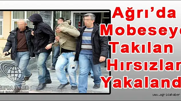 Ağrı'da Hırsızlara Suçüstü