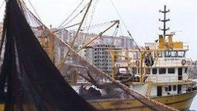 Karadeniz de balık türü azaldı