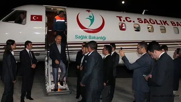 GAZZELİ YARLILAR TÜRKİYE'YE GETİRİLDİ
