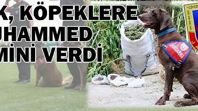 TSK ne yapmaya çalışıyor?