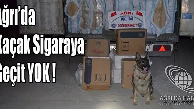 Ağrıda 334 Bin 500 Paket Kaçak Sigara Ele Geçirildi