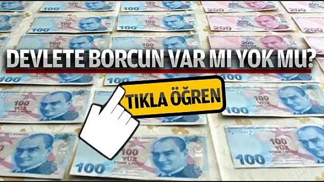 Gelir İdaresi Başkanlığı borç sorgulama