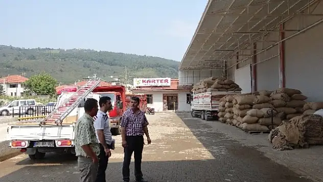 Düzce'de Tarımda Ağustos Dolu Dolu Geçti