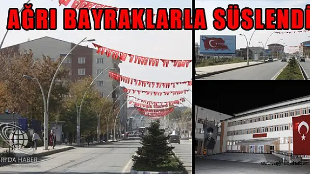 Ağrı Türk Bayraklarıyla süslendi