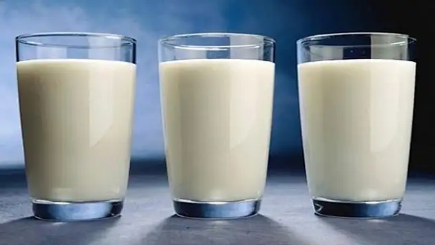 Günde 3 Bardak Süt Ölüm Riskini Artırıyor!