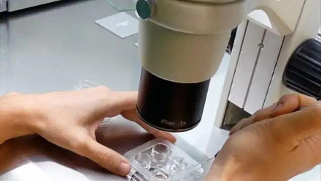 Tıp Dünyasında Dev Buluş