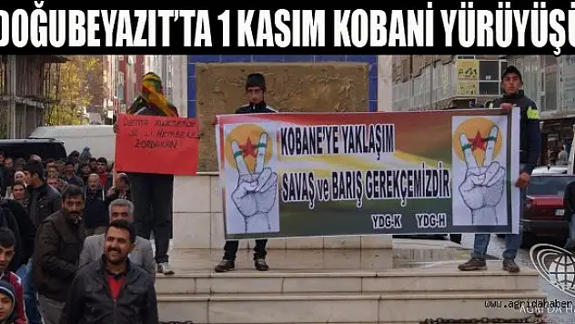 Doğubayazıt'ta 1 Kasım Dünya Kobani Günü Yürüyüşü