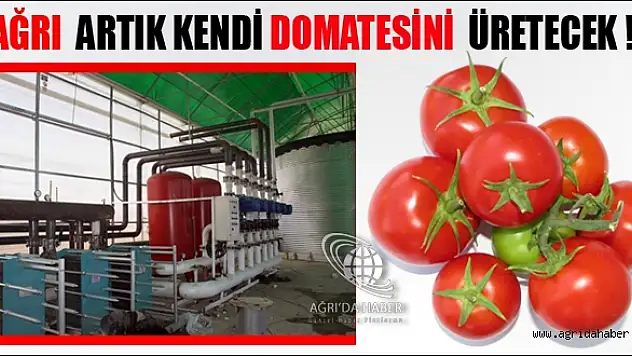 Doğunun Kışlık Domatesi Ağrıdan