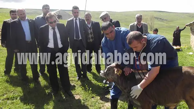 AĞRI ZİRAAT ODASI 'HER KÖYE ÜCRETSİZ VETERİNER VE ZİRAAT MÜHENDİSİ'