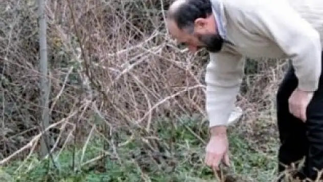 Su Ararken Buldu! Bedavaya Isınıyor