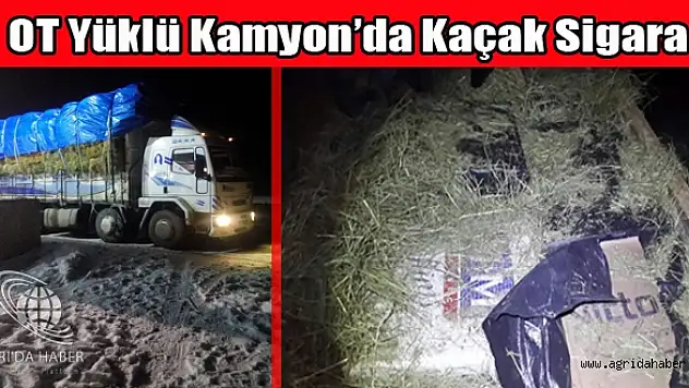 Ağrıda Otların Arasında Kaçak Sigara Ele Geçirildi