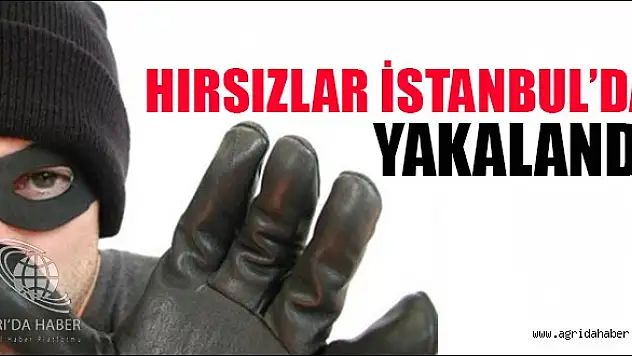 Ağrı'da Meydana Gelen Hırsızlık Olayının Failleri İstanbul'da Yakalandı