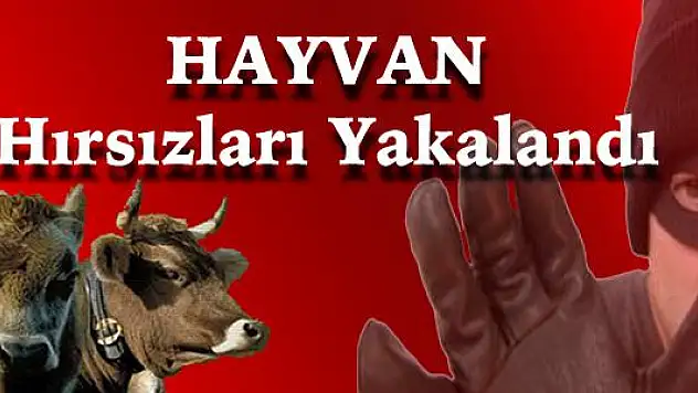 KÖYLÜLER HIRSIZI KENDİ ÇABALARIYLA YAKALADI
