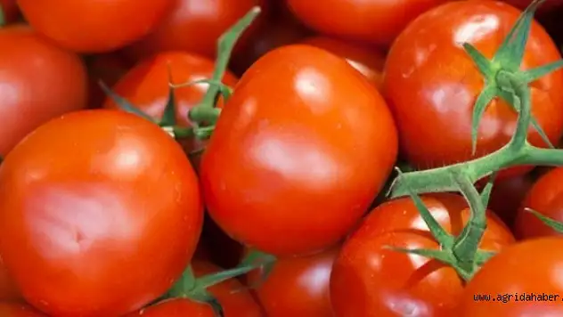 Domatesin faydaları saymakla bitmiyor