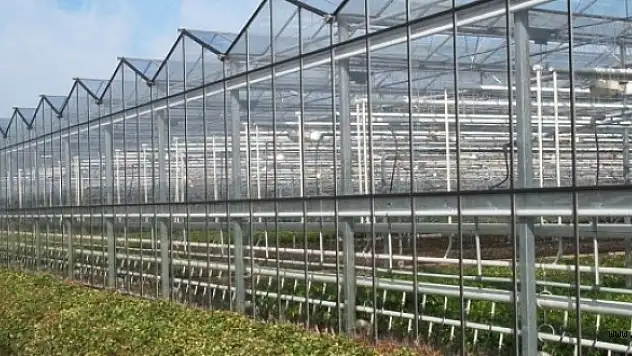 Güneş Işığını Taklit Edebilen Led Sistemi Geliştirildi
