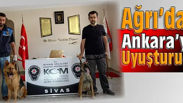 İRAN UYRUKLU ŞAHISTAN 12 KİLO AFYON SAKIZI ELE GEÇİRİLDİ