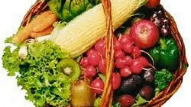 Besin Öğeleri Nelerdir?