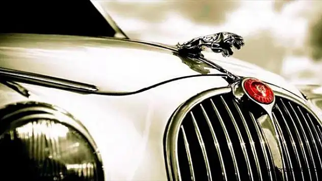 Jaguar Türkiye'de ava çıktı
