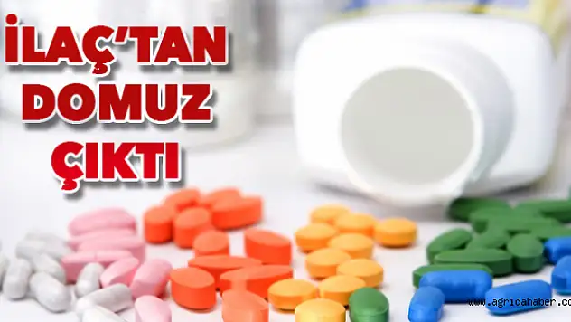 İlaçta Domuz Ürünleri