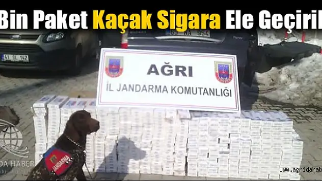 5 Bin Paket Kaçak Sigara Ele Geçirildi