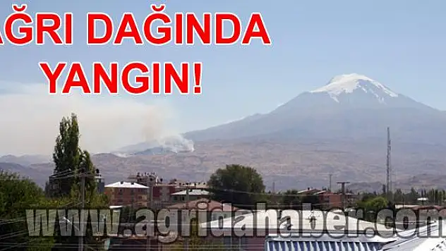 AĞRI DAĞI ETEKLERİNDEKİ YANGIN DEVAM EDİYOR