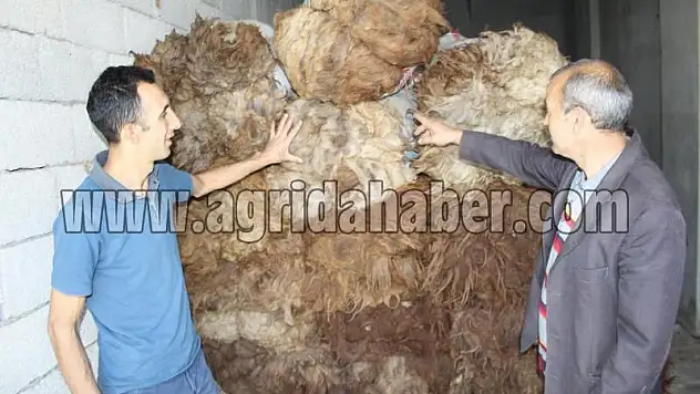 DÜĞÜNLER YÜN SATIŞINI ARTIRDI