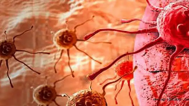 Kanserin yayılmasını engelleyecek yöntem bulundu